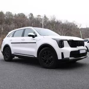 2024 쏘렌토 MQ4 도어 가드 패드 스크래치 문콕 방지