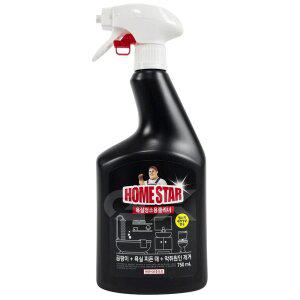 홈스타 욕실용 클리너 750ml 곰팡이 욕실 찌든때 악취 제거 gx