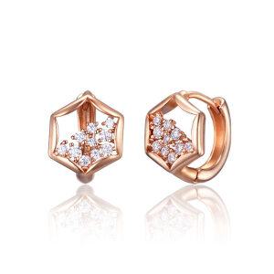 [엘르주얼리] 14K GF 육각 큐빅포인트 귀걸이 ELGPEE563