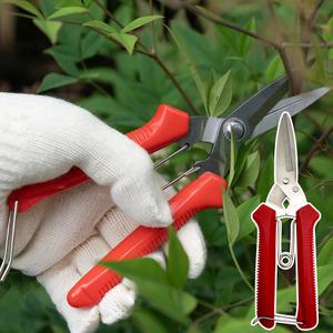 올스텐 전정 전지 함석 다목적 가위 꽃 원예 참외 양파 나무