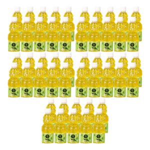 제주향 청귤 100 프로 착즙 주스 330ml (50개) NFC 제주 리얼 천연 프리미엄