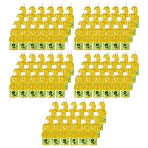 제주향 청귤 100 프로 착즙 주스 330ml (120개) NFC 제주 리얼 천연 프리미엄