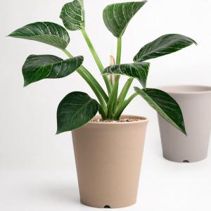 합 중형 깔끔 라운드 베이직 원형 목분 화분 받침대 1세트