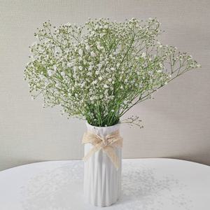 [꽃같은하루] 안개꽃 생화 꽃다발 택배 안개꽃다발 셀프 부케 꽃 배달 싼곳