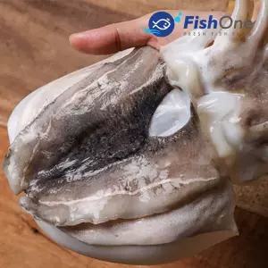 [수산대전20%쿠폰] [피시원] 이력추적 국산 손질 갑오징어(중) 3kg(12-15미)냉동