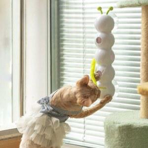 고양이 애벌레 움직이는 사냥 자동 인스타 유리창