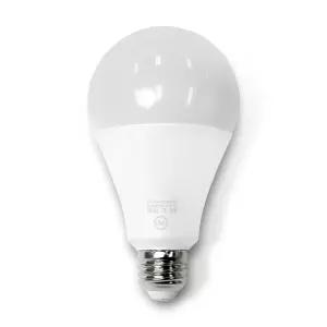 두영 LED 전구 20W, 주광색, 1개