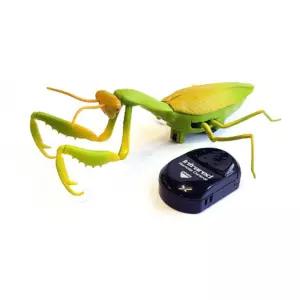 리얼 곤충 피규어 사마귀 유치원교재교구 움직이는로봇 완구 조립