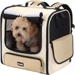 페큐트 고양이 캐리어 백팩 반려동물 넓은 공간 확장 소형견을 위한 안정적인 하이킹 캠핑 카키에 적합한