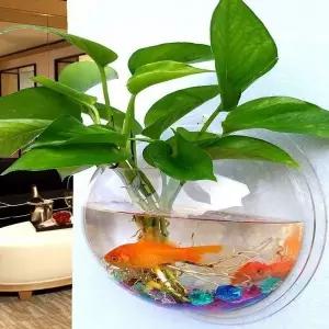 감성 인테리어 액자 빈티지 화분 디자인 꽃병 포인터 아크릴 소재의 벽걸이형 수경재배 어항 식당 및 거실