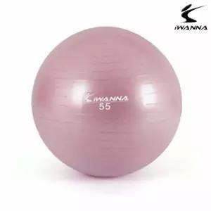 짐볼 다이어트 와일드핑크 55cm