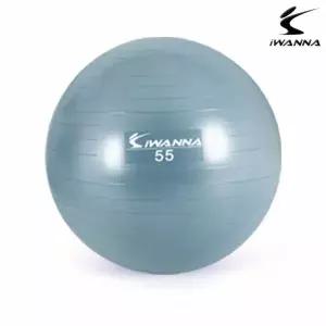 짐볼 더스티블루 짐볼 다이어트 55cm