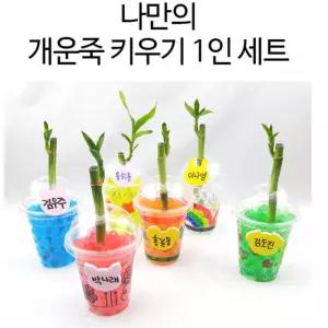 1인용 아동센터 방과후학교 식물키트 식목일행사 식물키우기 감수성발달