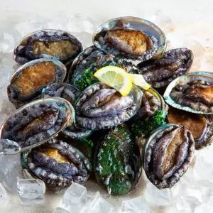 [선물세트]왕특대 완도 활전복 1kg(8-9미) 산소포장