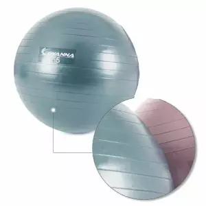 아이워너 안티버스트 짐볼 55cm 블루 1P 근력 홈트