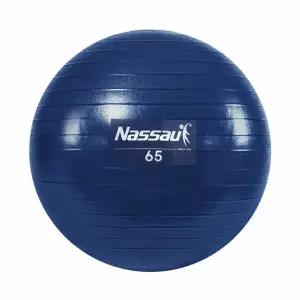 홈트레이닝 짐볼 65cm 홈트 다이어트 헬스
