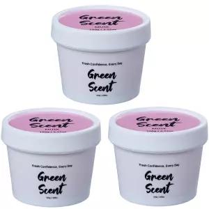 그린센트 에브리데이 실내 고체 방향 향기 탈취제 머스크향 100g 3개