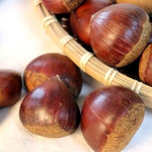 관우농가 정안 유기농 피밤 2kg (중)