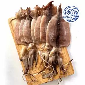 국산 반건조오징어 1kg / 피데기오징어 파지오징어