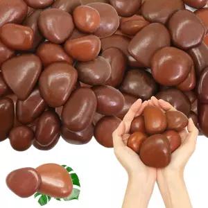 르클로리스 10파운드 레드 리버 락스 야외 조경-식물용 광택 자갈 - 정원 장식용 돌-1-2 대형 식물 바위