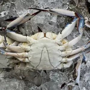 [푸드타켓]국내산 서해 냉동 숫꽃게 2kg(9-12미내외)