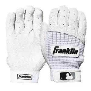 프랭클린 P견고한RO