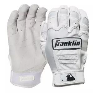 프랭클린 C견고한FX