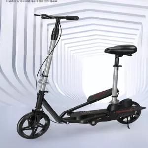 성인용 두발 킥보드 듀얼 청소년 스턴트  묘기 경량