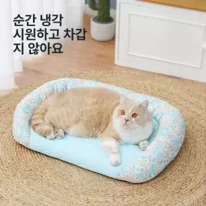 대형견카시트 애견카시트 반려동물 아이스 반려견