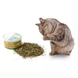 고양이 캣닢캔 가루 10g 1P 파우더 장난감 간식 토이 (WFKJWJT)