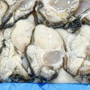 농가살리기 통영 당일손질 깐 생굴 1kg