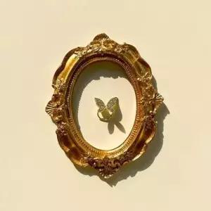 큐빅 나비 이어커프 안뚫는 귀걸이 트렌디 악세사리 WFJFMFW