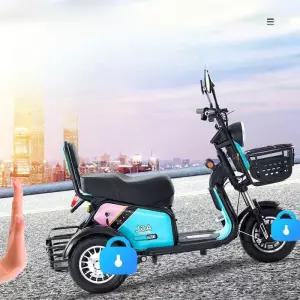 삼륜 여성용 바이크 800W 스쿠터 오토바이 전동 농촌 출퇴근용 3발 60V