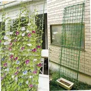 TC2 식물 원예 지지망 유인망 호박 오이 넝쿨 그물망