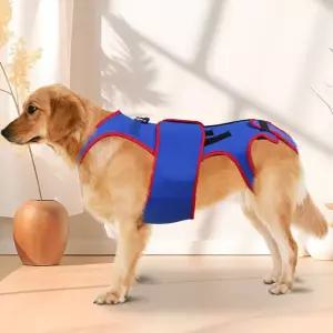 강아지 허리 보조기 반려동물 척추 지지대 강아지 보조기 재활 리드