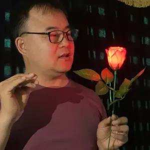 (KC인증) 제이엘 불빛장미(핑크)딜라이트미포함 마술