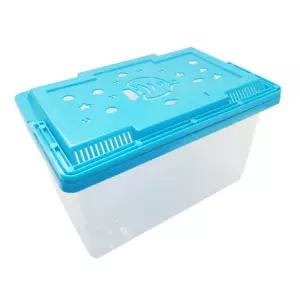 장수풍뎅이 사육용 곤충 채집통 대형 수업교구 보관통 어린이놀이 여름방학 캠핑용