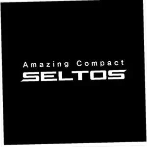 D21 셀토스호환 매립형 LED 도어라이트 2개한세트