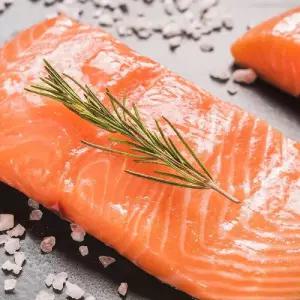 노르웨이 생연어 500g