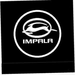 D21 임팔라 전용 LED 도어라이트