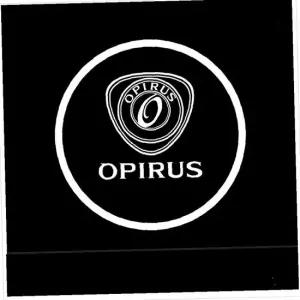 D21 오피러스 전용 LED 도어라이트