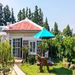 [제주] 서귀포 쉴띠 게스트하우스(제주숙소/서귀포숙소)