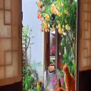 [서울] 종로 한옥 게스트하우스 201(서울숙소/종로숙소)