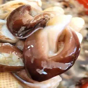 여수 검정새조개 200g