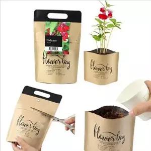 식물 화분 씨앗 세트 관찰 봉선화 키우기 일지 키트