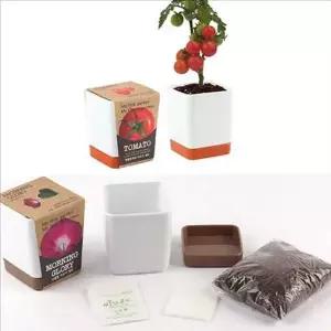 다용도 방울 토마토 화분 가드닝 미니 화분 세트 재배 텃밭