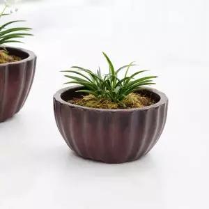 원형 다각 분재분 난 미니관엽 다육이 야생화 낮은 분재화분