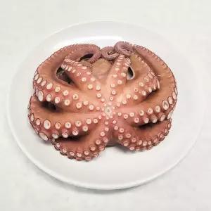 참맛나는 산지직송 국내산 제수용 활 돌문어 1kg 1미)