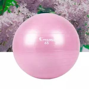 아이워너 안티버스트 짐볼 퍼플 65cm 1P 근력 스트레칭 홈트-WFIZPCL