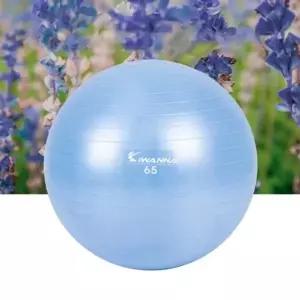 아이워너 안티버스트 짐볼 블루 65cm 1P 근력 스트레칭 홈트-WFIZPCK